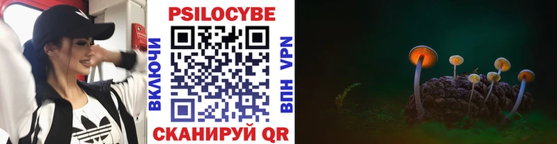 как найти закладки  mega маркетплейс  Галлюциногенные грибы Psilocybe  Котельники 