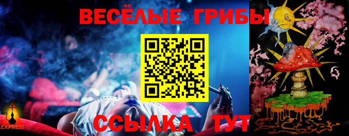 даркнет сайт  Вход с VPN  Котельники  Галлюциногенные грибы прущие грибы 