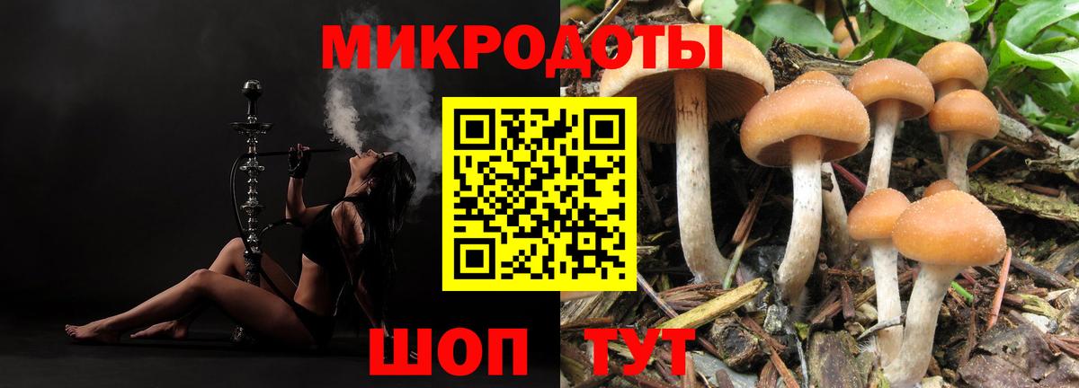 Галлюциногенные грибы Psilocybe Котельники
