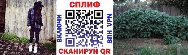 omg ссылка  Котельники  Бошки Шишки ГИДРОПОН  как найти  
